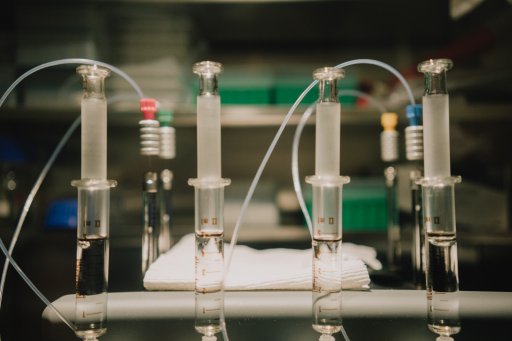 Chemistry of Biological Processes Laboratory